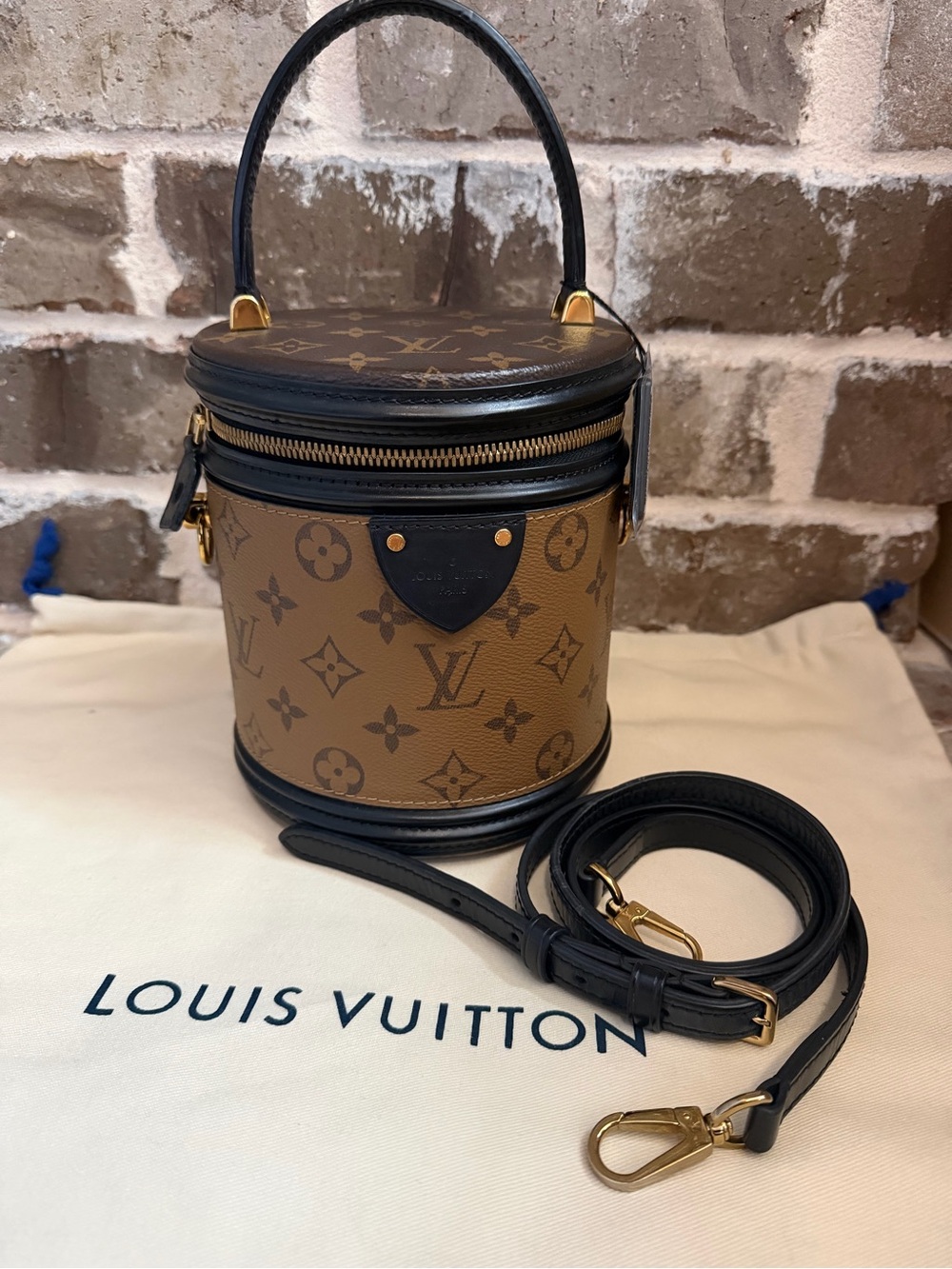 Louis Vuitton Cannes handbag featured in Reverse Monogram